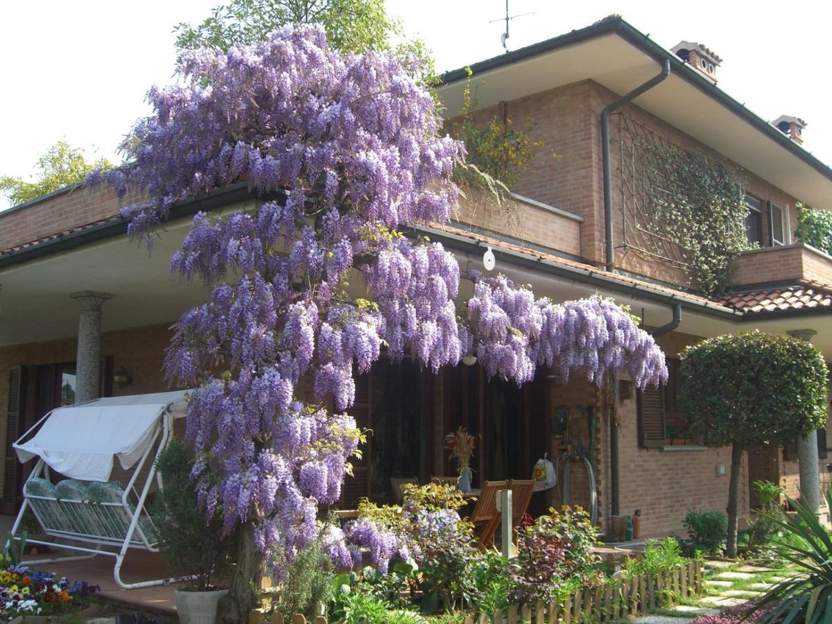 B&B Les Fleurettes Lomazzo Eksteriør billede